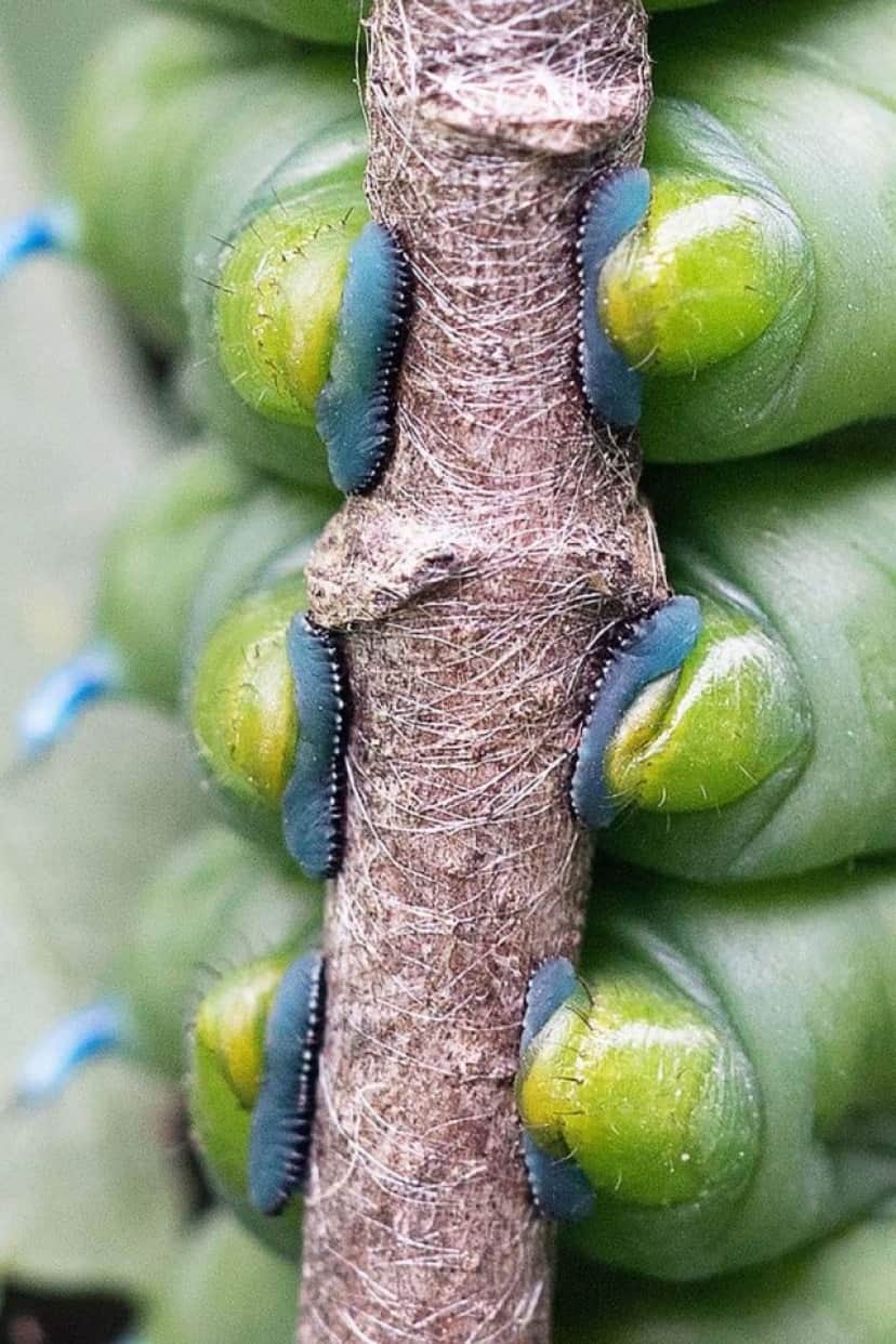 5_e