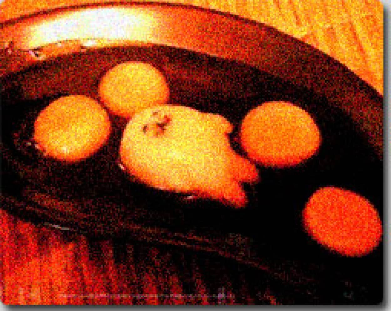 なにこれ怖い と思われる画像スライドショー カラパイア なにこれ怖い と思われる画像スライドショー カラパイア