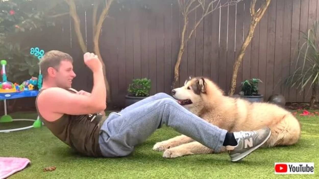 犬や猫が一緒だとトレーニングも捗るよ ロックダウン中の体力維持にペットとやるエクササイズはいかが カラパイア 犬や猫が一緒だとトレーニングも捗るよ ロックダウン中の体力維持にペットとやるエクササイズはいかが カラパイア