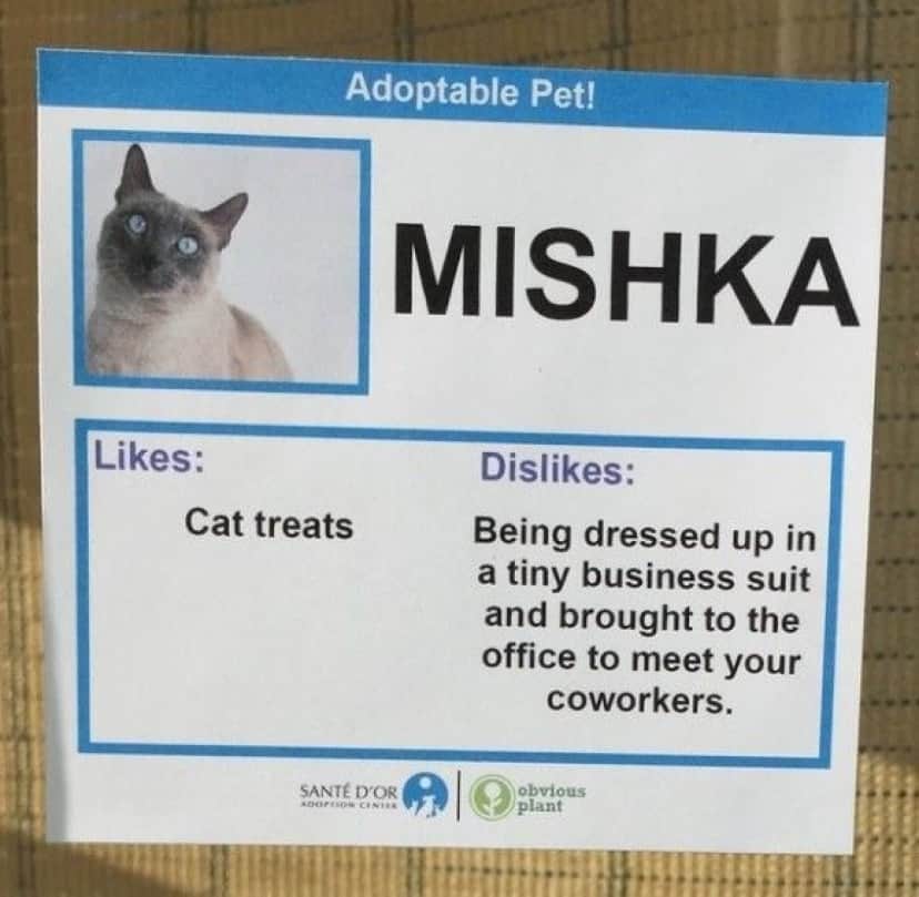 Mishka_e