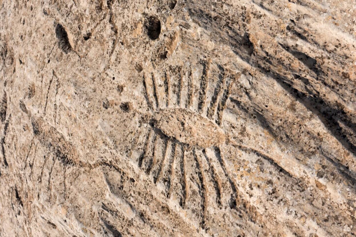 カタールの砂漠に刻まれた謎の岩絵