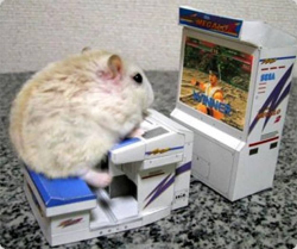 ビデオゲーム