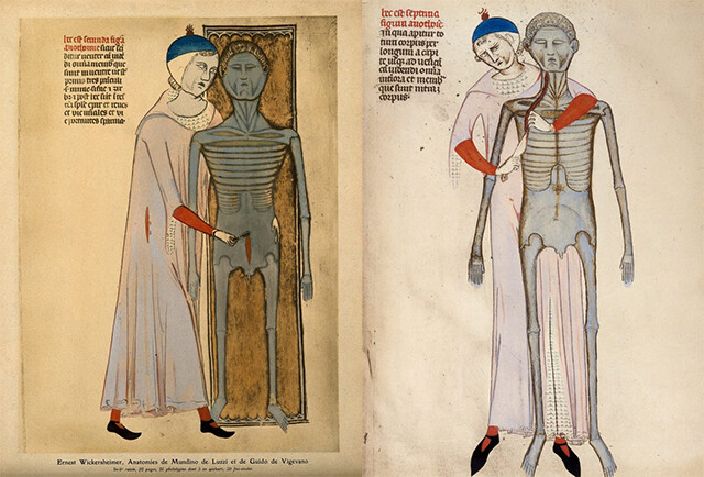 解剖学を説明するのに初めて絵を使った中世のイタリア人医師（日本の室町時代頃）
