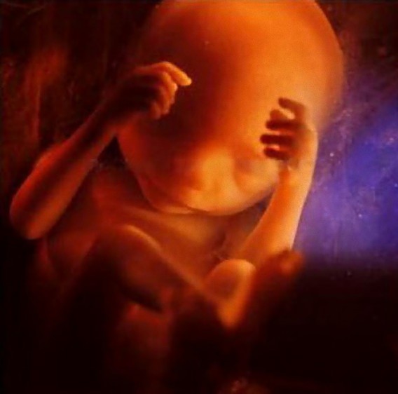 incredible_photos_a_child_is_born_640_23_e