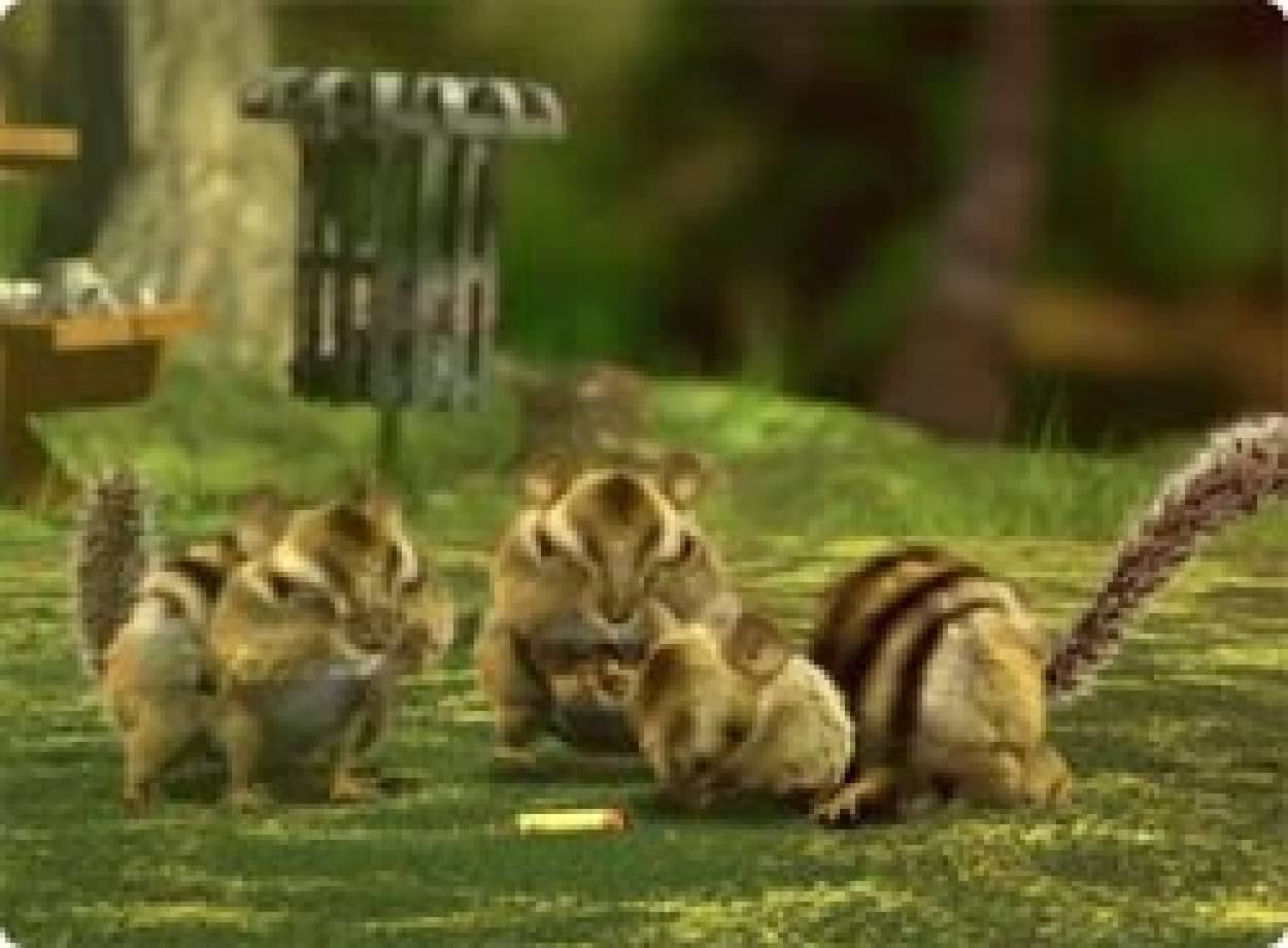 リス おい おまえら 今何した ゴミのポイ捨ての危険性をリス目線でみるショートフィルム カラパイア