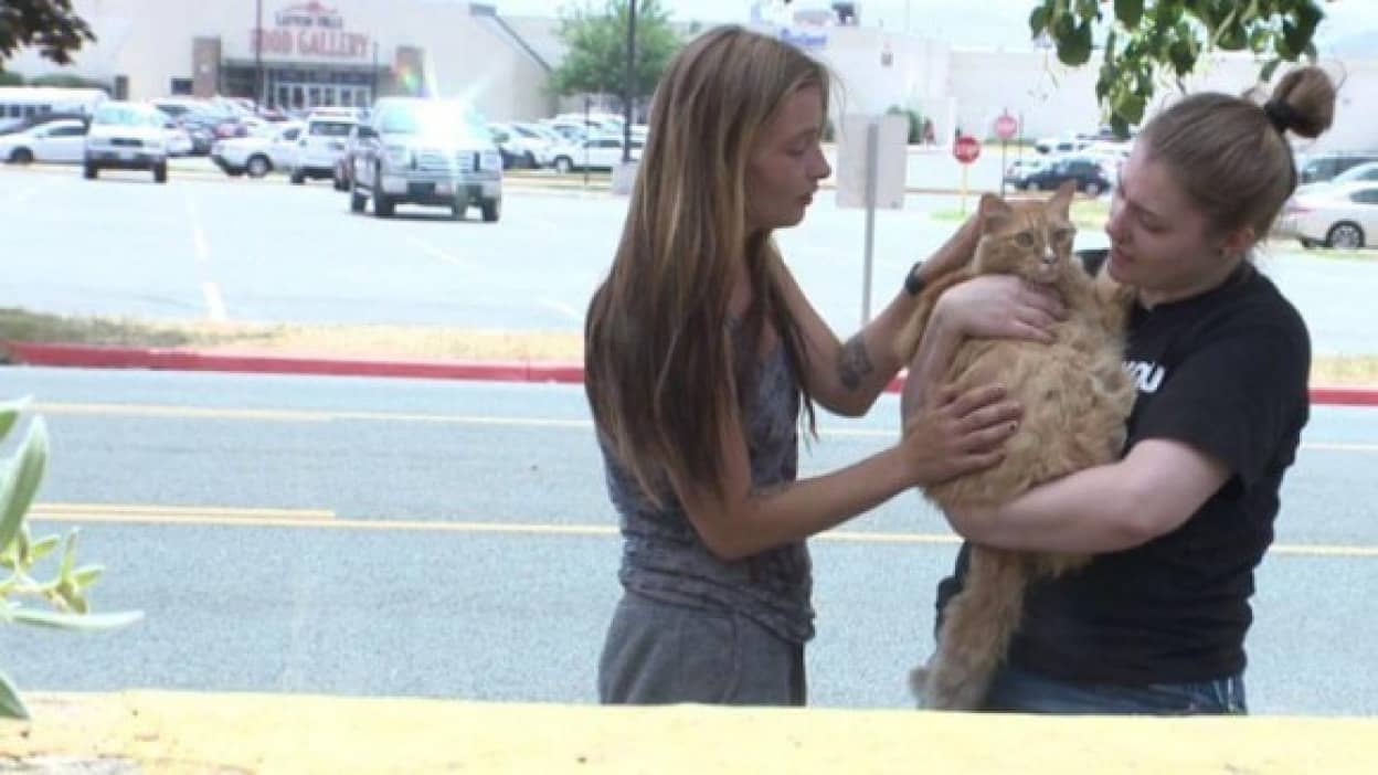 火事で逃げ遅れた猫が生きていた!飼い主感激