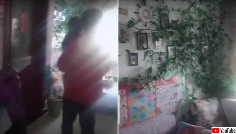 玄関開けたらそこはジャングル 半年以上ぶりに家に戻ったら部屋が植物に侵食されていた件 中国 カラパイア 玄関開けたらそこはジャングル 半年以上ぶりに家に戻ったら部屋が植物に侵食されていた件 中国 カラパイア
