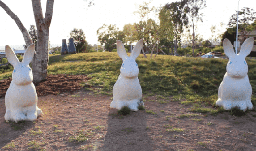 rabbit2