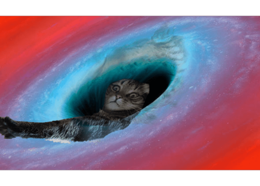猫が箱にぴったりフィットしていたのでコラ職人がんばる カラパイア 猫が箱にぴったりフィットしていたのでコラ職人がんばる カラパイア