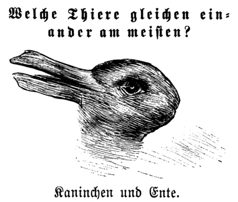 この絵は何に見える アヒル ウサギ イメージに文脈を与えることで見え方が変わることが判明 カナダ研究 カラパイア