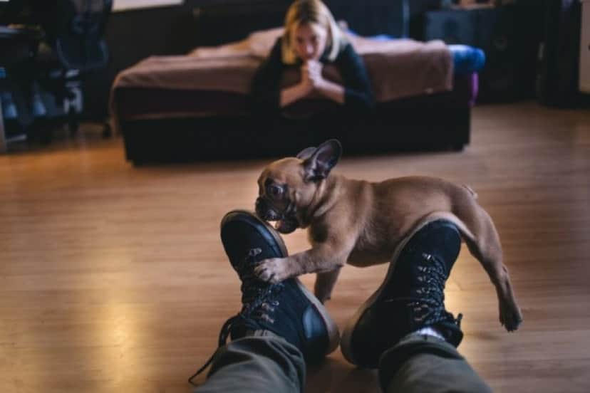 iStock-927916358_e