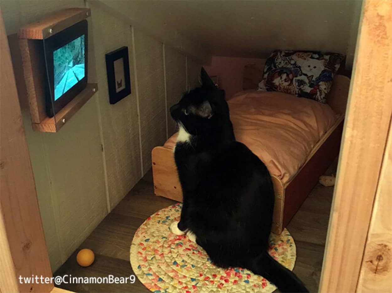 猫様専用高級ワンルーム