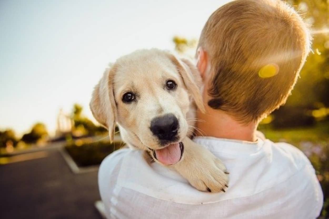 犬と人間の絆がわかる、幸せになれる画像