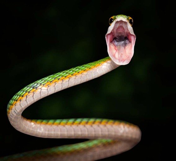 7_e7