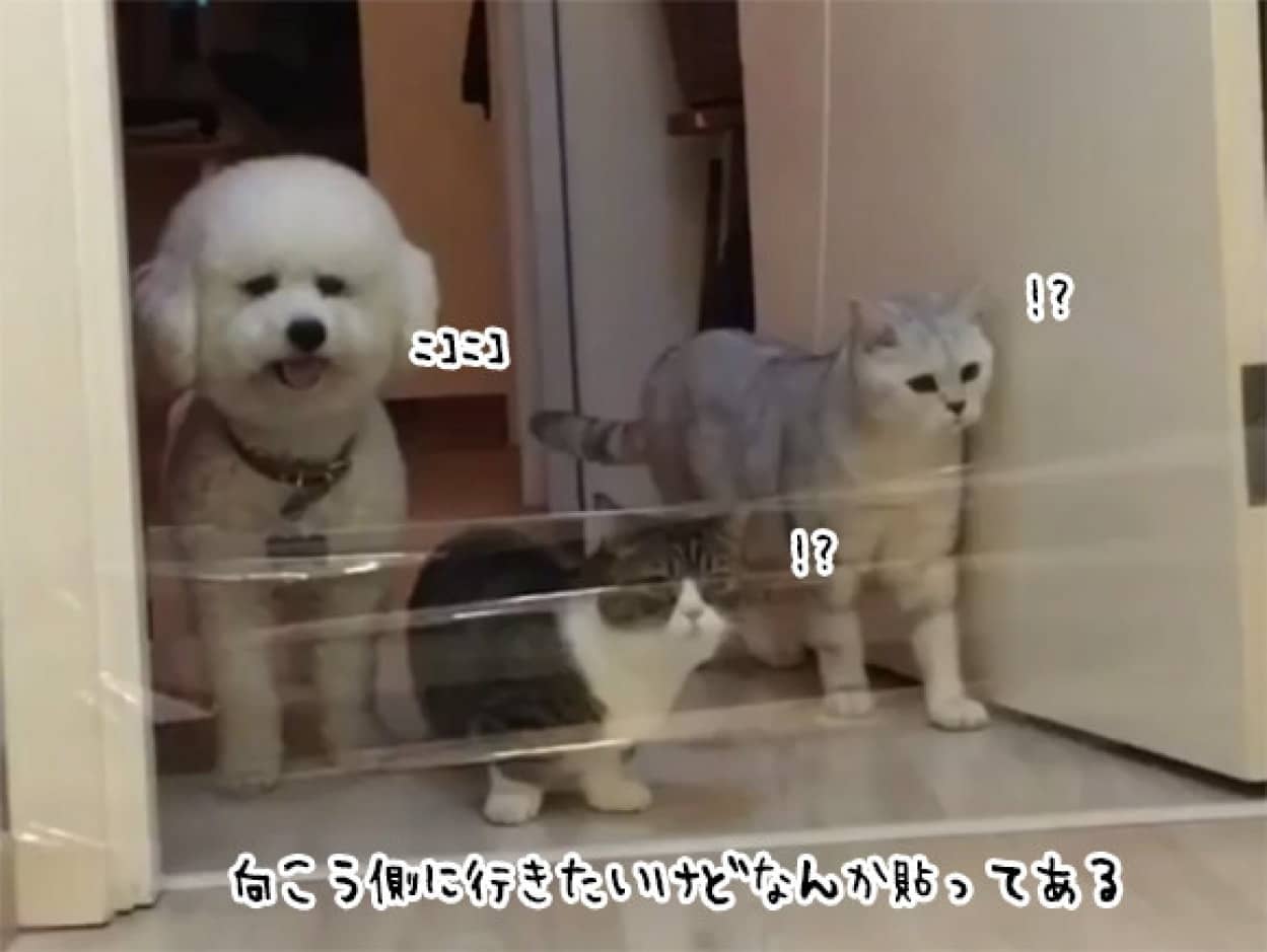 no title