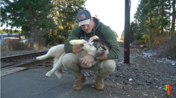 路上をさまよっていたハスキー犬に恋した男性 自分で飼う覚悟で連れ帰り飼い主探しを開始 その結末は アメリカ カラパイア