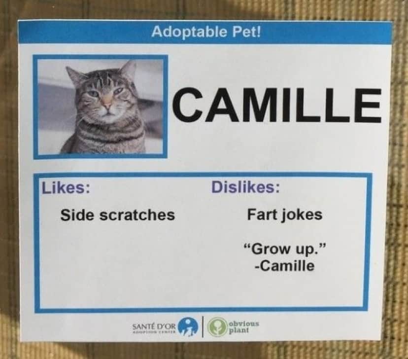Camille_e