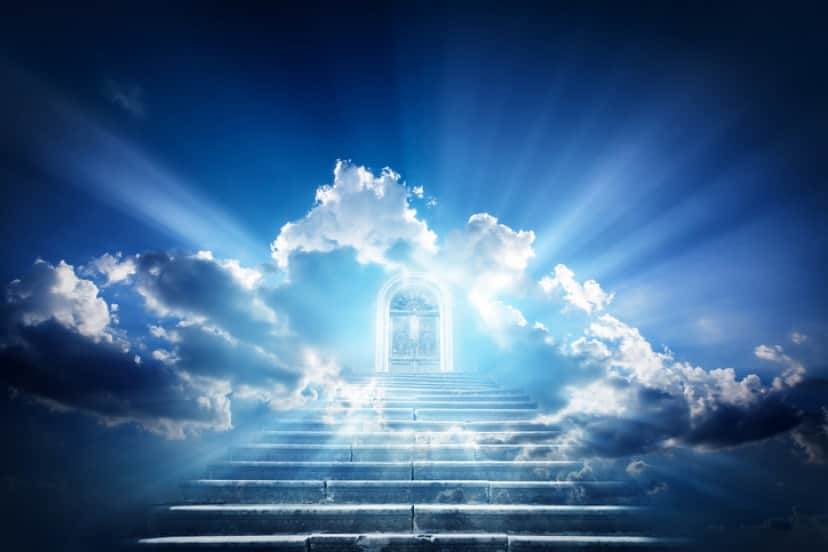iStock-688049648