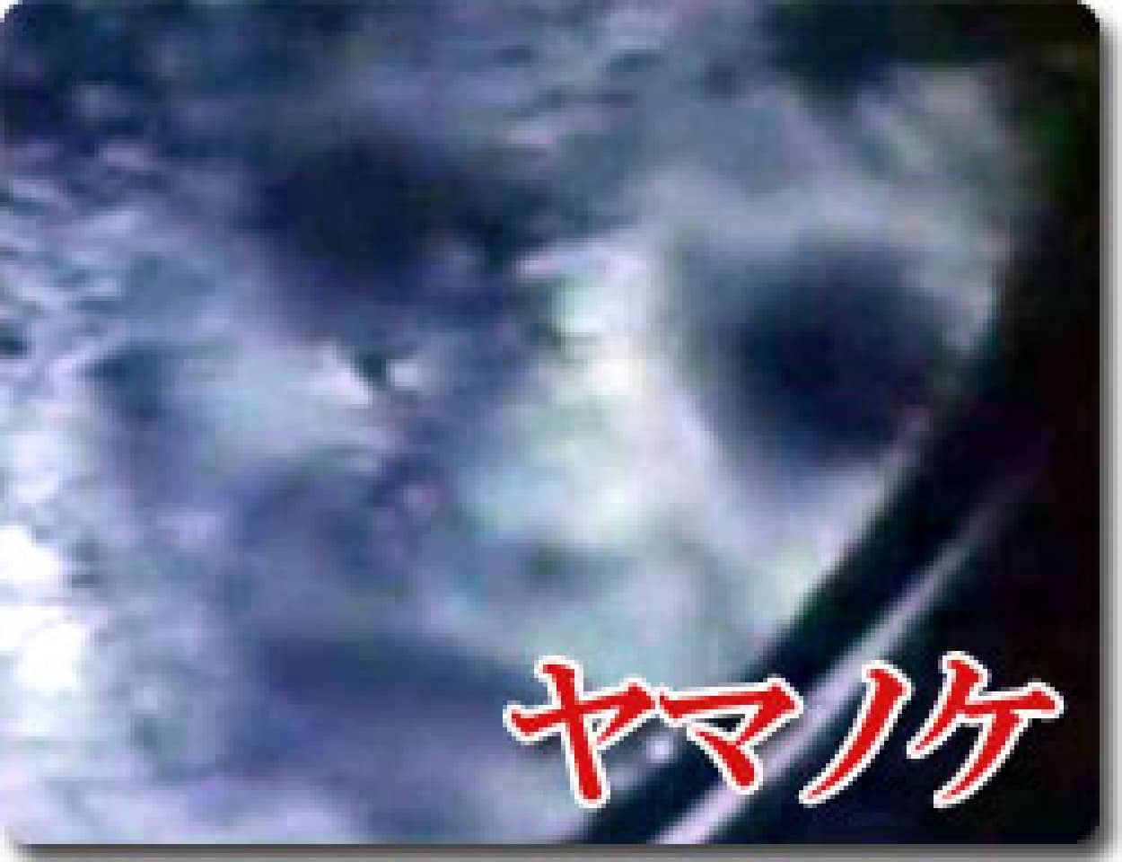 取り返しのつかない怖い話 ヤマノケ カラパイア