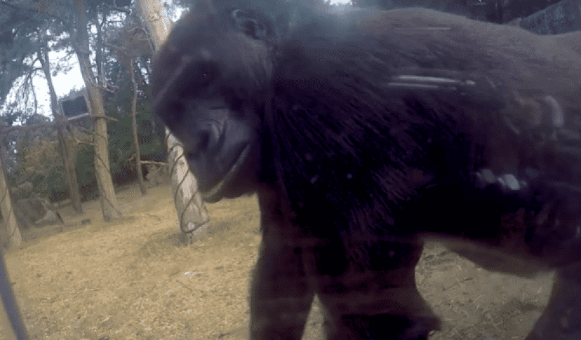 camera2_e