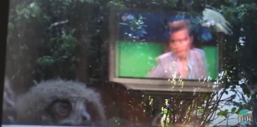 TV_e