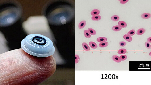 スマホに装着するだけで1200倍の顕微鏡として機能する小型レンズが販売決定