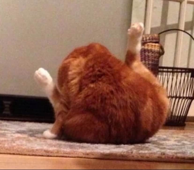 1_e8