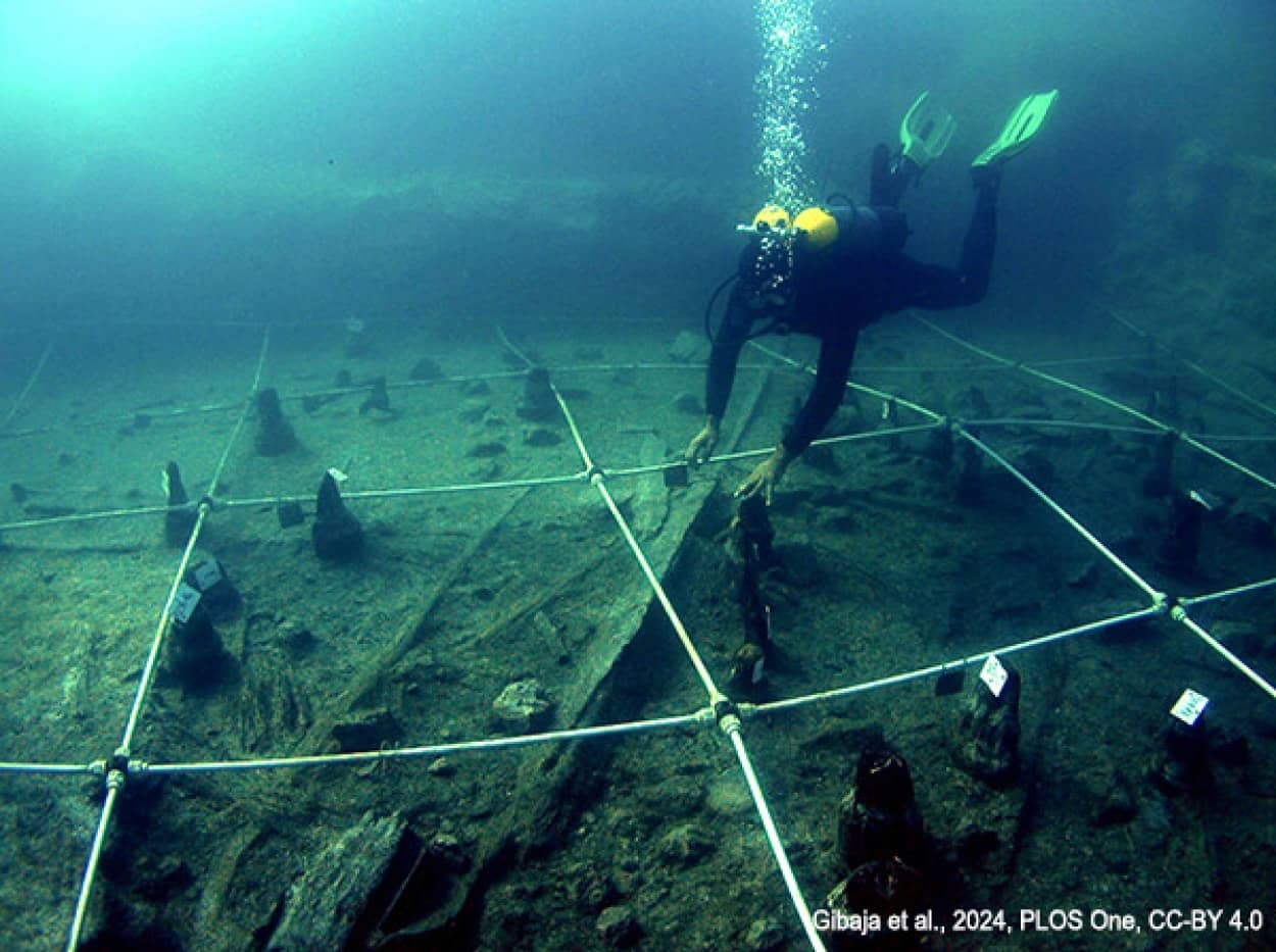 地中海で7000年前の木造の沈没船を発見