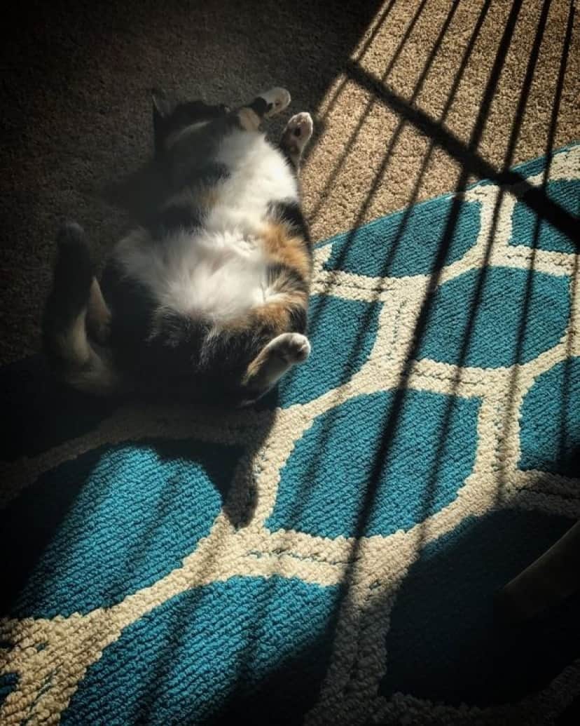 napping