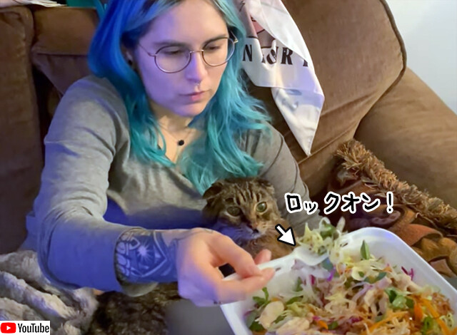 猫のサラダアタックチャレンジ。フォークを口に入れようとした瞬間の出来事でした