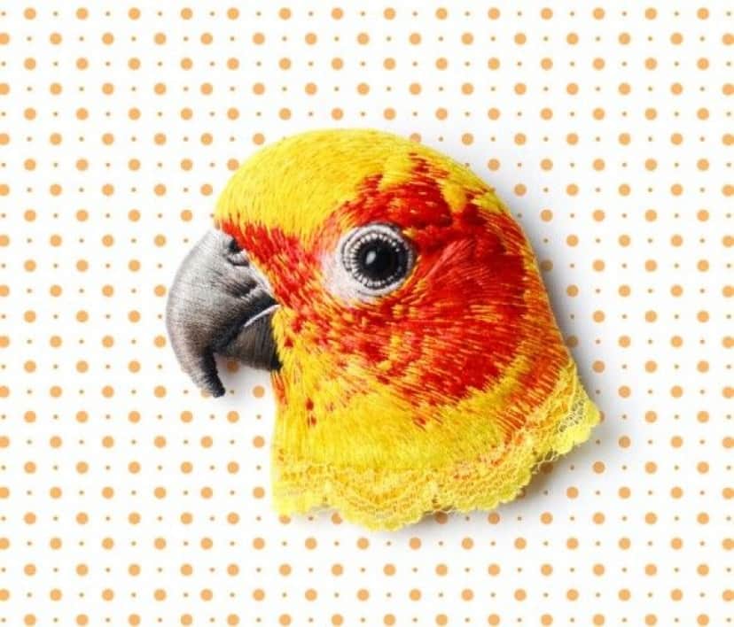 bird-3_e