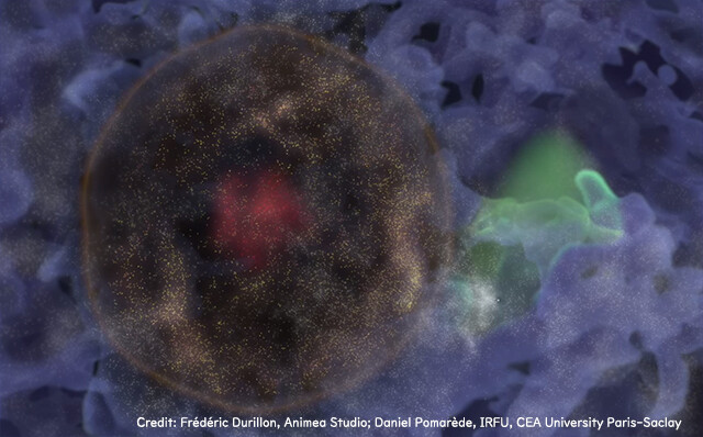 銀河が集まってできた巨大な泡状構造を発見。ビッグバンの名残か？