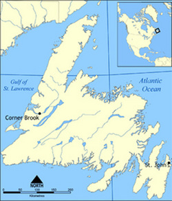 Newfoundland_map