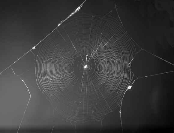 1_e16