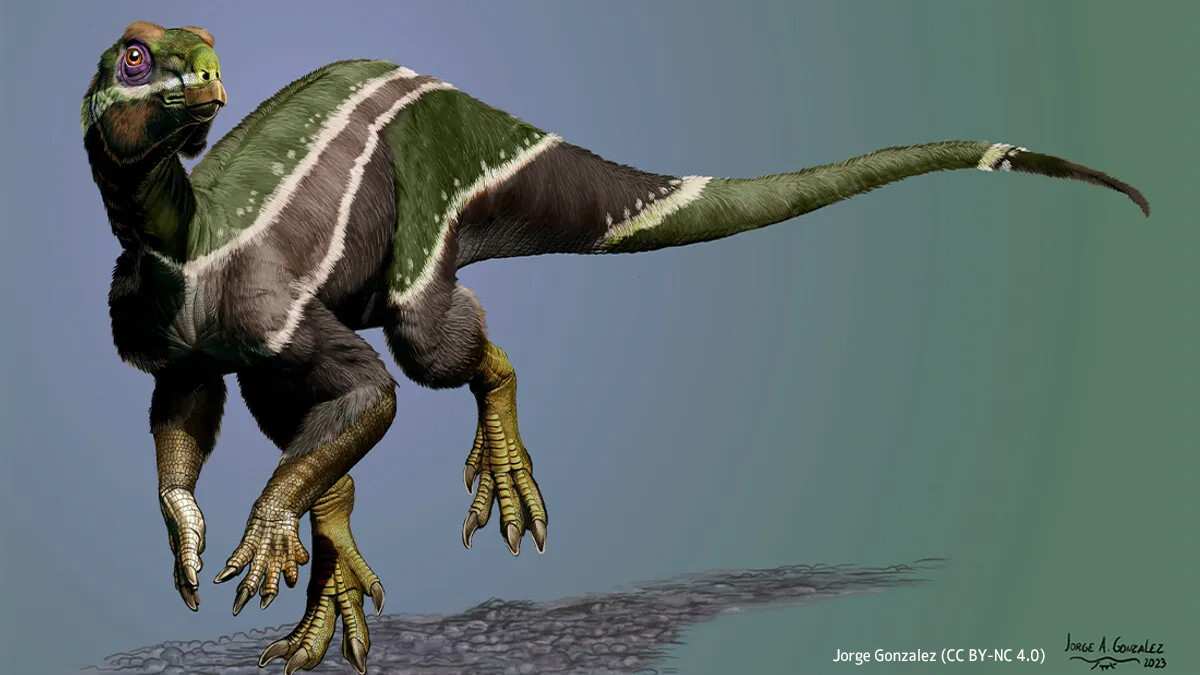 新たに発見された恐竜「イアニ・スミティ」は激変する環境下での最後の生き残りだった可能性