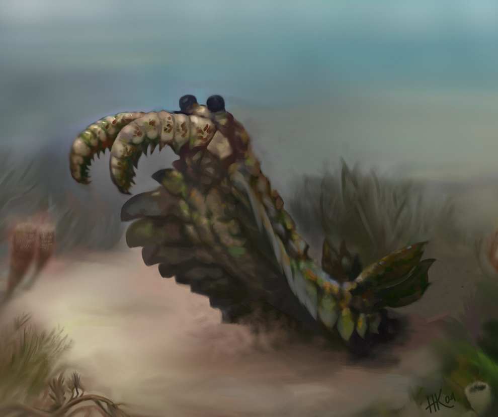 18-lobopodia-anomalocaris