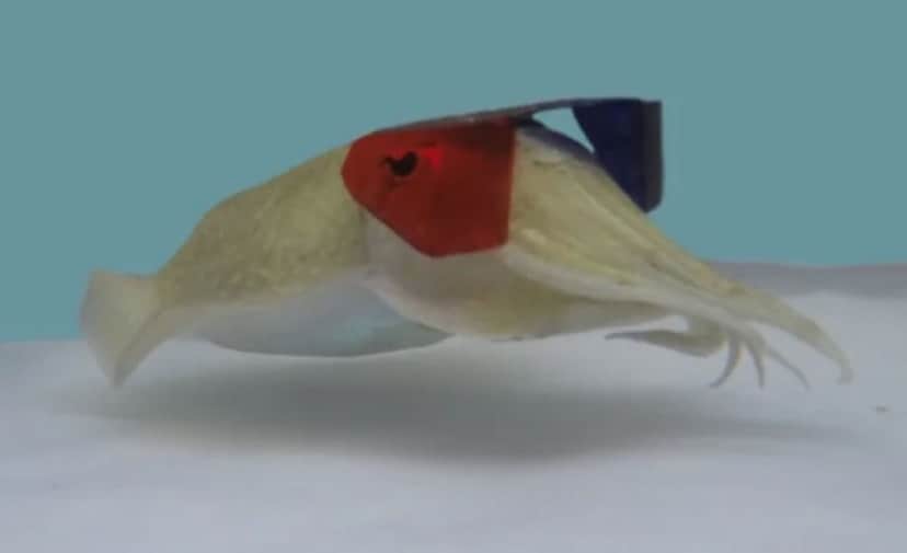 2_e5