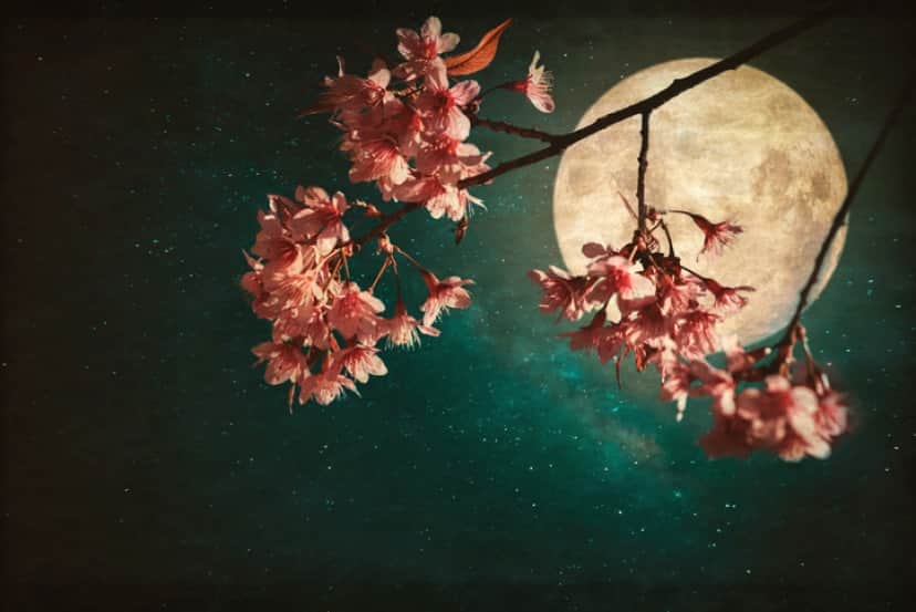 iStock-614142410
