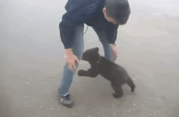 何認定されたんだ 保護されたコグマ 男性の足にしがみついて離れないでござる ロシア カラパイア 何認定されたんだ 保護されたコグマ 男性の足にしがみついて離れないでござる ロシア カラパイア