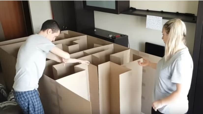 猫の脱出大作戦 ダンボールで作った巨大迷路をクリアすることができるのか カラパイア