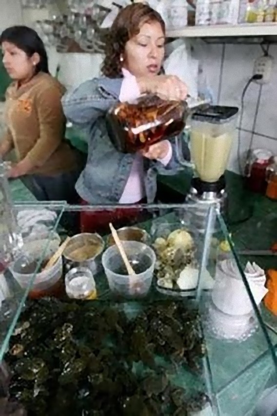frog_juice_006_e