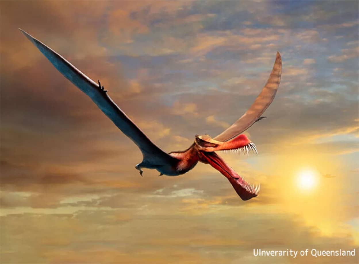 ドラゴンのような空を飛ぶ巨大な爬虫類の化石が発見される