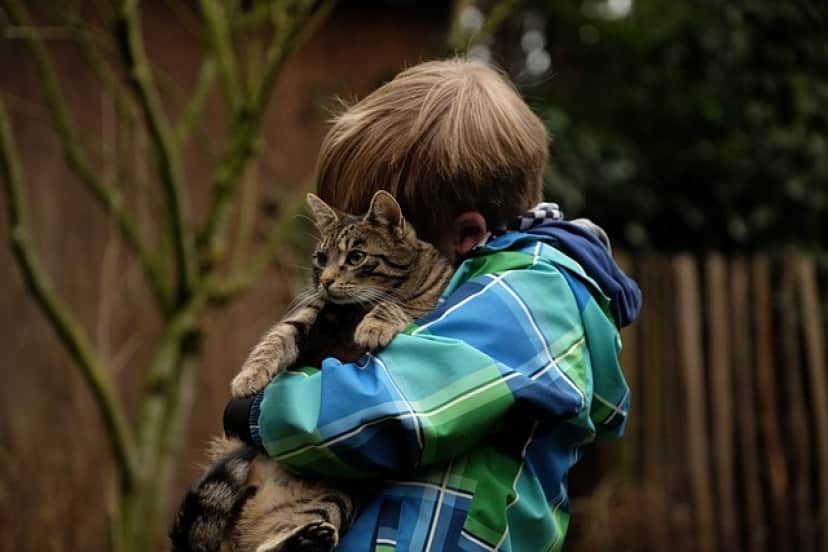 friendship-g865456154_640