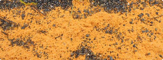 正体不明 謎のオレンジ色の物体が浜辺に出現 アラスカ カラパイア