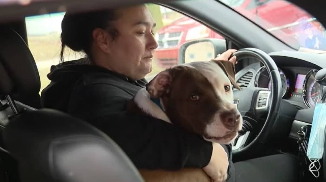 燃える家から赤ちゃんを助け出した犬