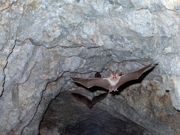 4_e