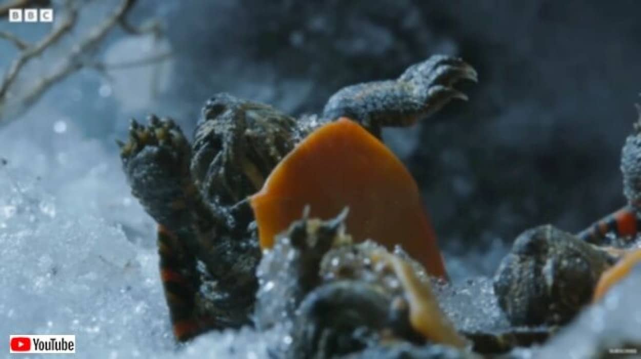 20240323_195143_batch