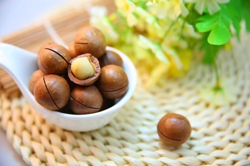 macadamia-nuts-1098170_640_e