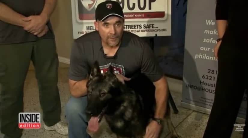 K9_e0
