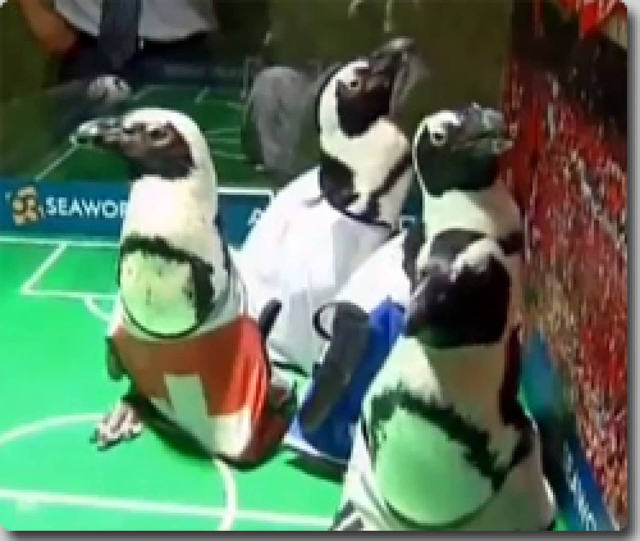 ペンギン
